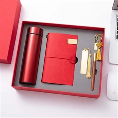 סט פנקסים ועט מעור